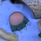 Bát ăn mini 4cm cho cua ma cà rồng, ốc nhỏ, và một số loài mini