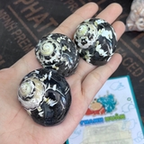 Vỏ ốc da rắn họa tiết ngẫu nhiên cỡ S VÀ XL