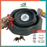 COMBO 2 Bát ăn chén nước màu xám tro có thể kết hợp 2 cái làm bát ăn chống kiến