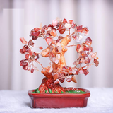 Sản phẩm 05