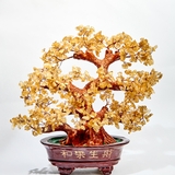 Sản phẩm 04