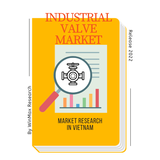 Industrial Valve Market Research in Vietnam HS code 8481