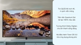 Smart Tivi QLED Samsung 4K 65 inch QA65Q80R