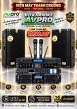Dàn Karaoke AVPRO 313