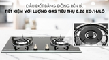 Bếp ga âm Duxton DG-2BGV