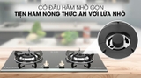 Bếp ga âm Duxton DG-2BGV