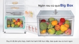 Tủ lạnh Samsung Inverter 236 lít RT22M4032BU/SV