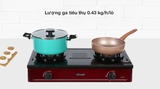 Bếp ga đôi Rinnai RV-B274SR(EB)