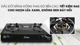 Bếp ga đôi Apex APB0816