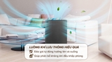 Máy hút ẩm Sharp DW-T30FV-H