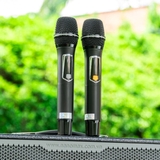 LOA XÁCH TAY NANOMAX X17