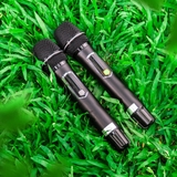 LOA XÁCH TAY NANOMAX X17