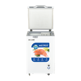 Tủ đông Hoà Phát HPF AD6107.T1