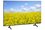 Smart Tivi Samsung 4K Crystal UHD 43 inch UA43AU8100