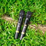 Loa Kéo Nanomax Pro-218d Bass Đôi 50cm 3250w