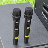 Loa Kéo Bình & Điện Nanomax Pro-600A Bass Đôi 50cm 3600w