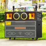 Loa Kéo Bình & Điện Nanomax Pro-803N Bass Đôi 40cm 1600w