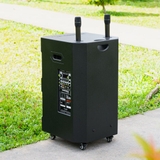 Loa Kéo Nanomax SK-15Q5 Bass 40cm 680w Karaoke Bluetooth