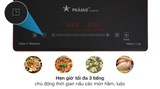 Bếp từ đơn lắp âm Pramie 1108