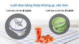 Máy xay sinh tố đa năng Tefal BL309166