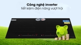 Bếp từ đôi lắp âm Kocher DI-669