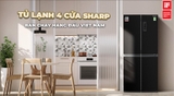 Tủ lạnh Sharp Inverter 362 lít SJ-FX420V-DS