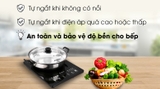 Bếp điện từ Kangaroo KG18IH1