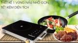 Bếp hồng ngoại Sanaky SNK-2524HGN