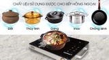 Bếp hồng ngoại Sanaky SNK-2524HGN