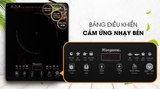 Bếp điện từ Kangaroo KG18IH2