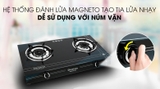 Bếp ga đôi Duxton DG-368