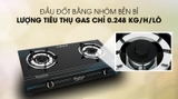 Bếp ga đôi Duxton DG-368