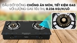 Bếp ga đôi Duxton DG-740