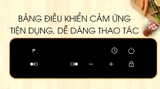 Bếp từ đôi lắp âm Malloca MH-7320I