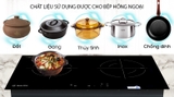 Bếp hồng ngoại đôi lắp âm Malloca MH-7320R