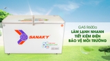 Tủ đông sanaky 4099w3
