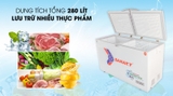 Tủ đông sanaky 4099w3