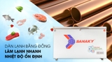 Tủ đông sanaky 4099w3