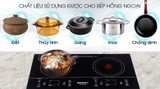 Bếp hồng ngoại đôi lắp âm Sanaky SNK-201HGW