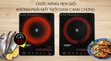 Bếp hồng ngoại Sanaky SNK2102HG
