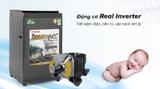 Máy giặt Toshiba Inverter 9.0 kg AW-DK1000FV