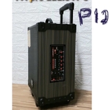Loa karaoke Bluetooth PA Pro audio PA12