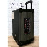 Loa karaoke Bluetooth PA Pro audio PA12