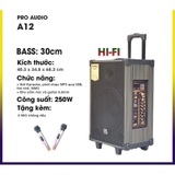 Loa karaoke Bluetooth PA Pro audio PA12