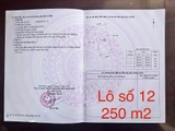 BĐS - Lô Số 12 Xóm Đại Thắng, xã Thượng Tân Lộc