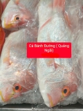 Cá Bánh Đường