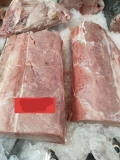 Cá Cờ file