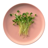 Cải Mầm