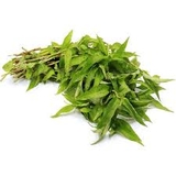 Rau răm (100g),
