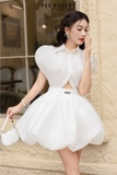 ĐẦM TESS in organza
